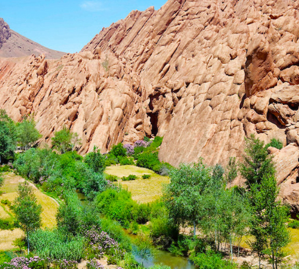 4 days tour from Marrakech to Merzouga Desert