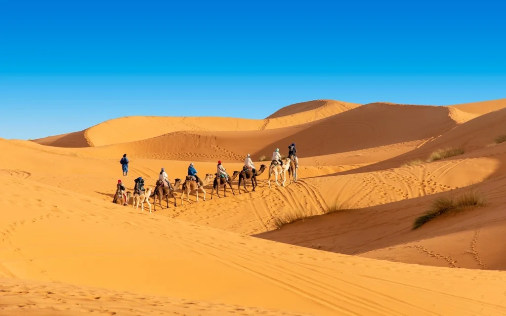 Merzouga Dunes 