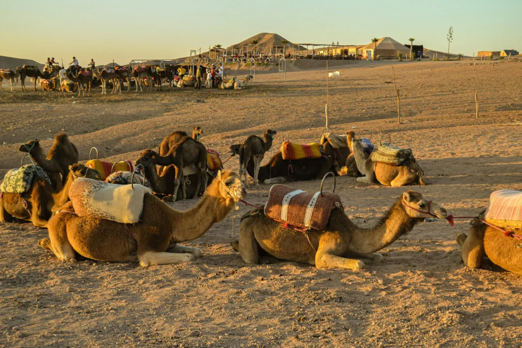 Agafay desert Morocco