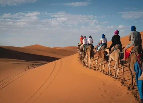 Book Your Merzouga Camel Ride for an Unforgettable Desert Experience