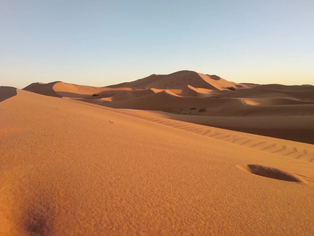 Merzouga camel ride