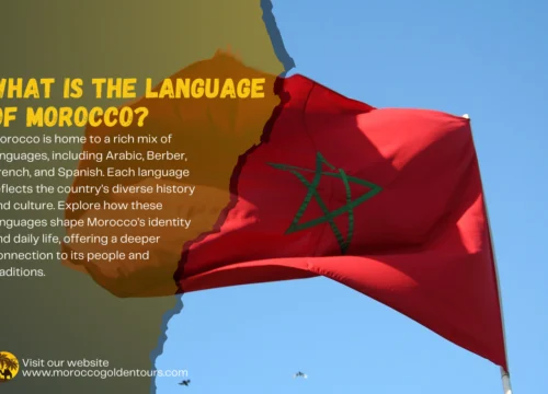 What Is the Language of Morocco? Exploring Morocco’s Rich Language Diversity