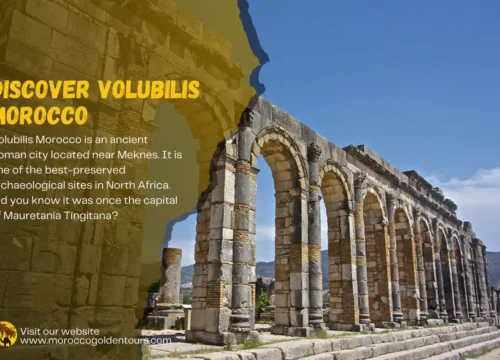 Discover Volubilis Morocco: Ancient Roman Ruins and Rich History