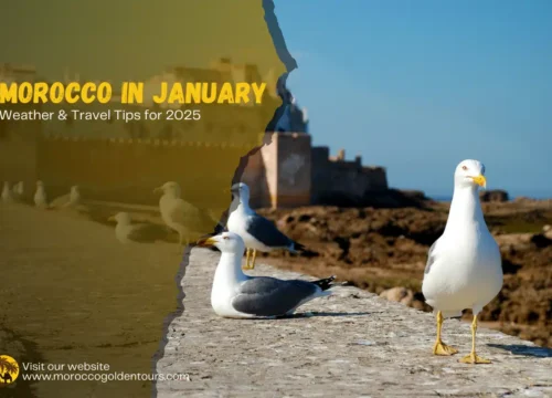 Morocco in January: Weather & Travel Tips for 2025