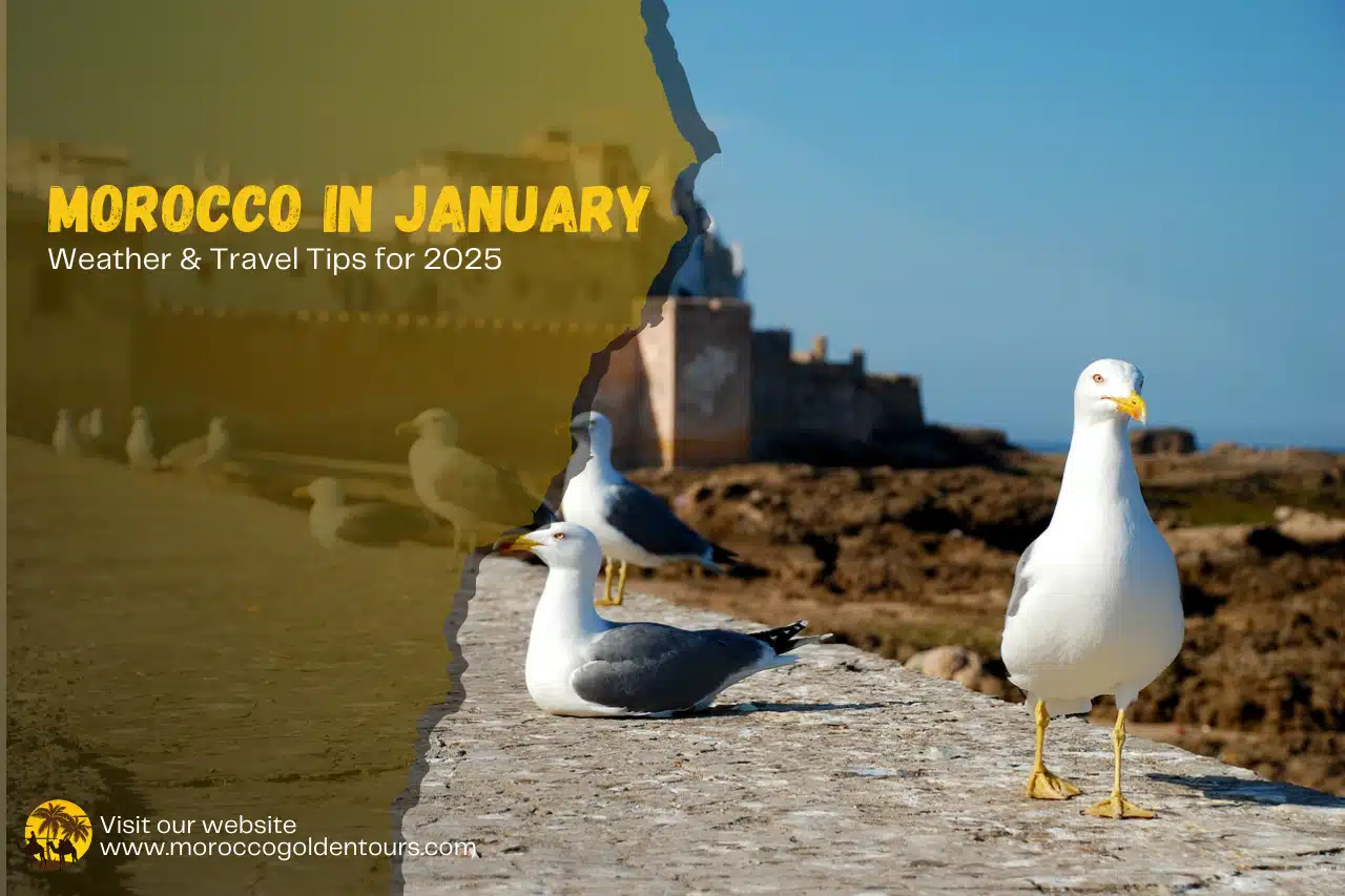 Morocco in January