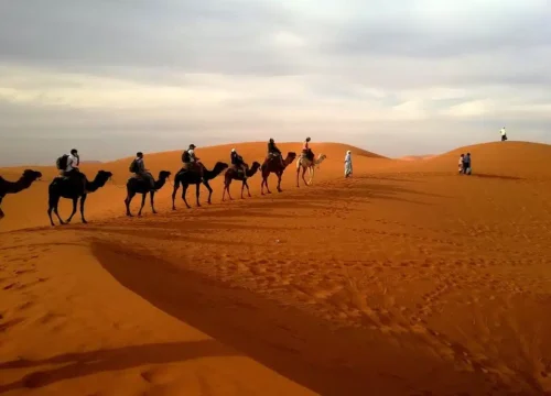 Discover Morocco Private Tours: Luxury Tailored Experiences 1 Discover Morocco Private Tours: Luxury Tailored Experiences