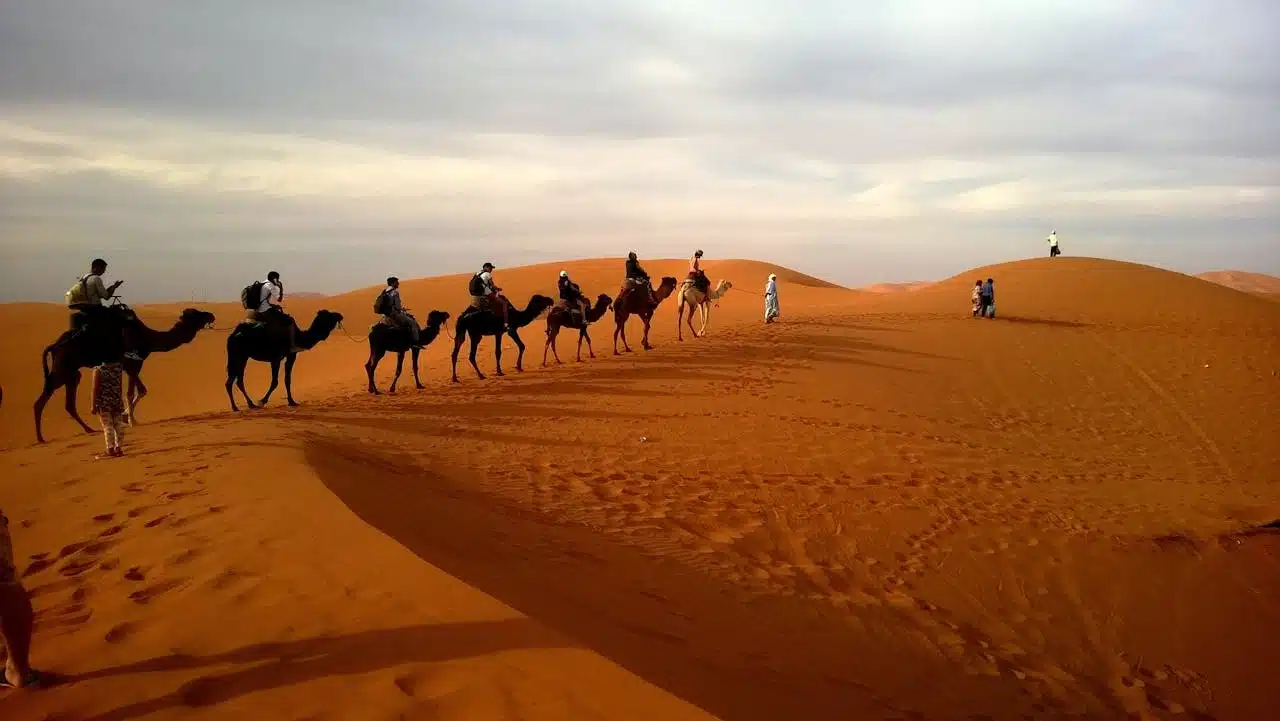Morocco Private Tours