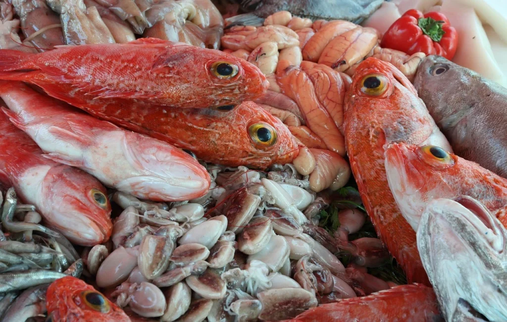 Essaouira Morocco