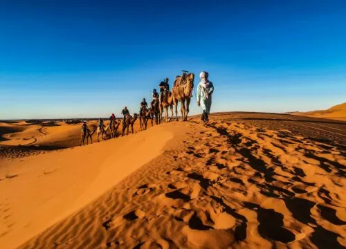 Merzouga Camel Trekking