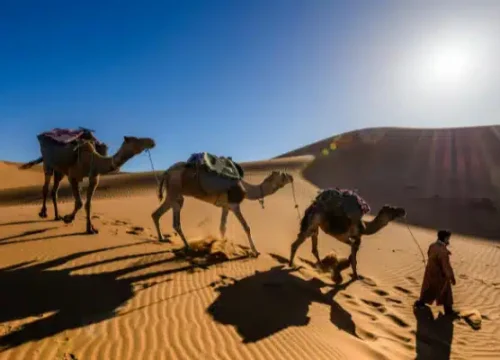 Morocco Itinerary 7 Days