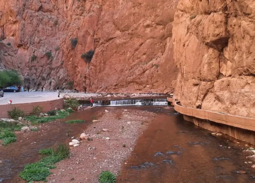Discover Todra Gorge Morocco: A Must-See Destination on Your Morocco Trip