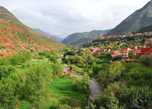 Discover the Beauty of Vallée Ourika: Your Perfect Escape from Marrakech