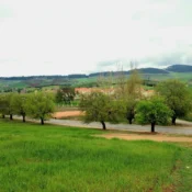 Azrou Morocco