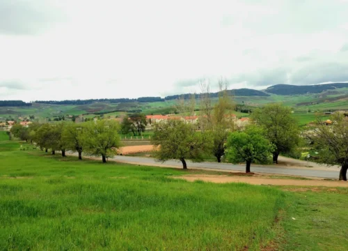 Azrou Morocco: Your Peaceful Escape in the Middle Atlas
