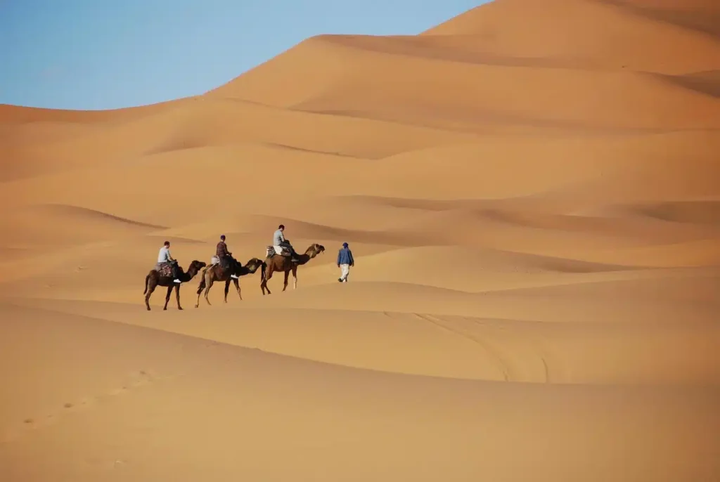 Morocco Camel Ride