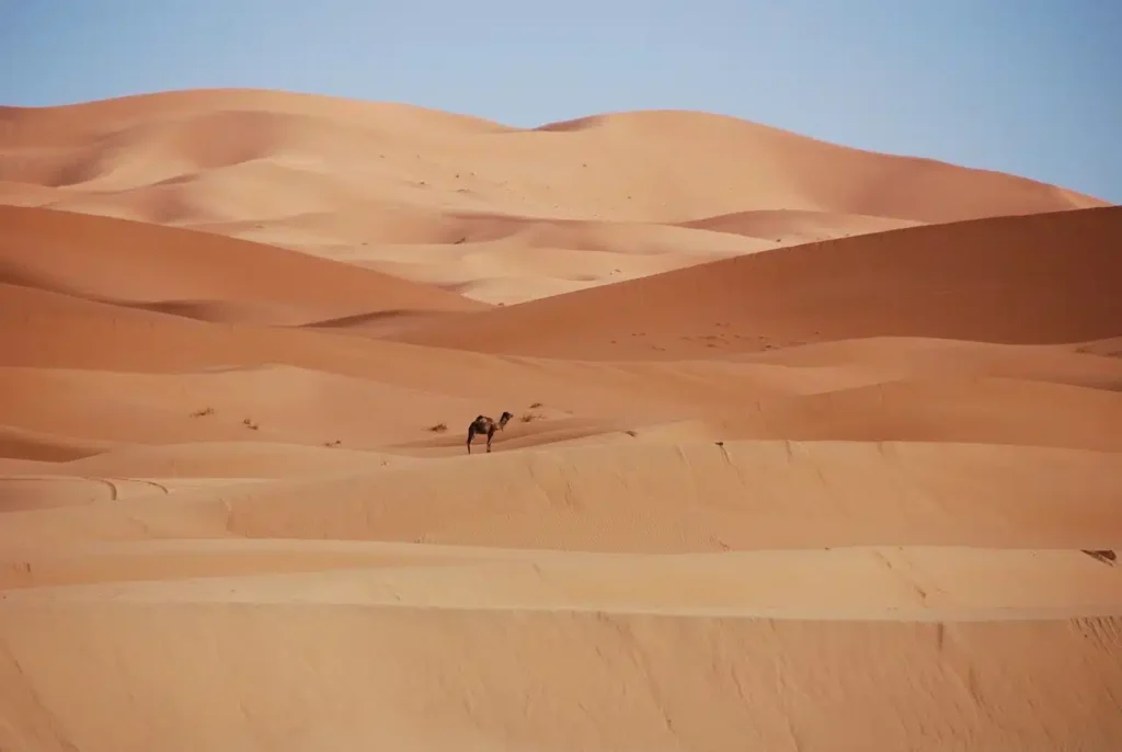 Best Month to Visit Morocco