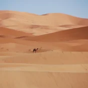 The Worst Time to Visit Morocco
