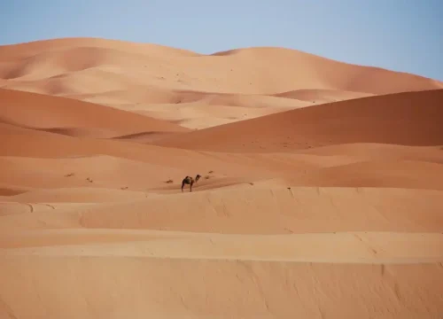 The Worst Time to Visit Morocco: What Every Traveler Needs to Know
