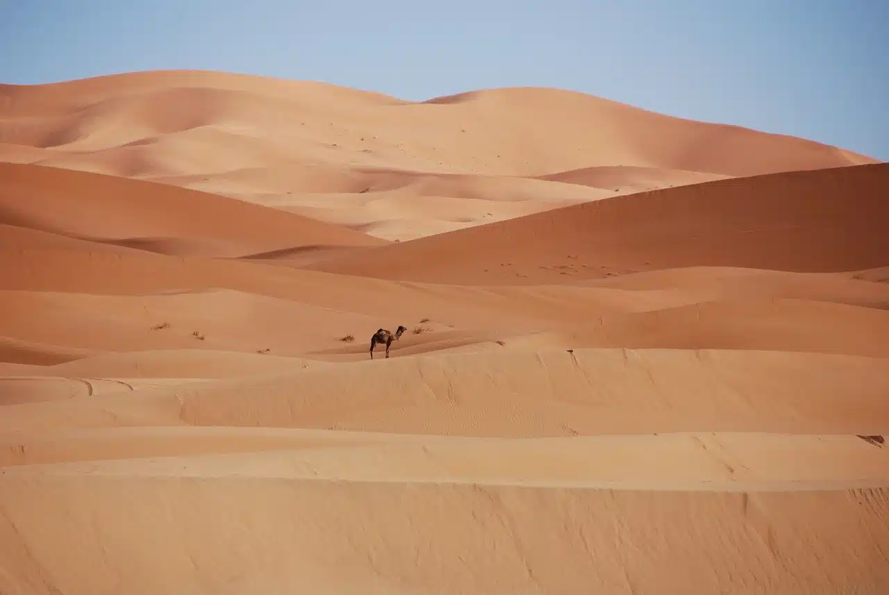 The Worst Time to Visit Morocco: What Every Traveler Needs to Know 1 The Worst Time to Visit Morocco