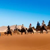Morocco Camel Ride