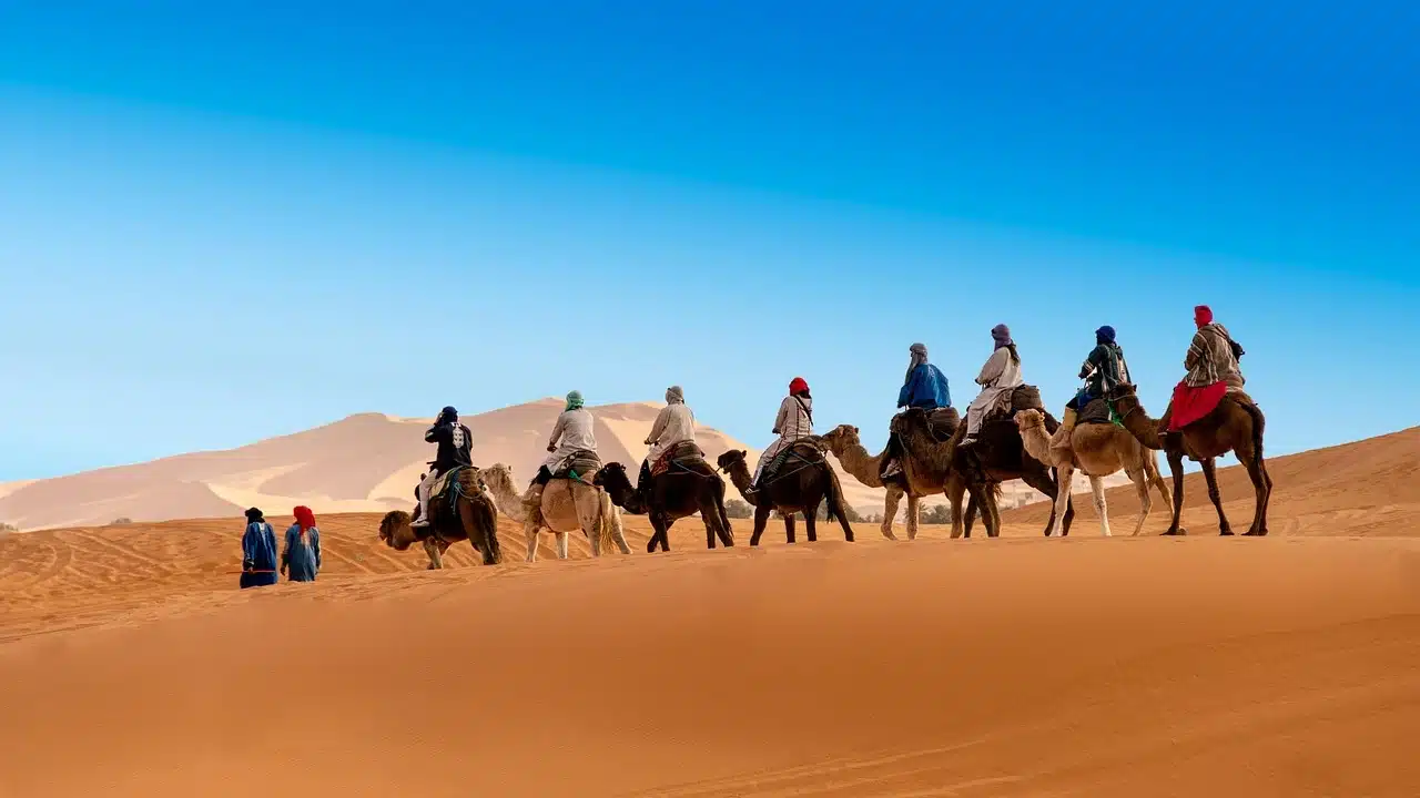 Morocco Camel Ride