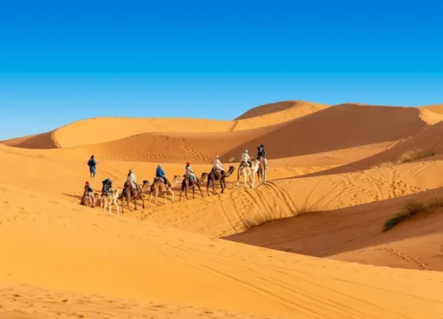 Sahara Desert Tour from Fes​
