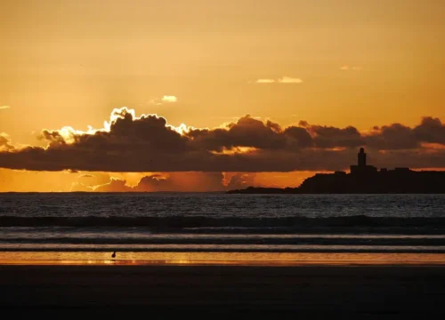 Essaouira Morocco Beach: A Peaceful Escape in Morocco