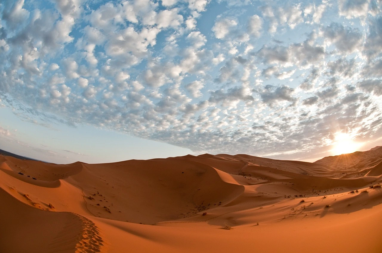 Can I Visit Morocco with UK BRP? Full Guide for Travelers Like You 1 can i visit morocco with uk brp