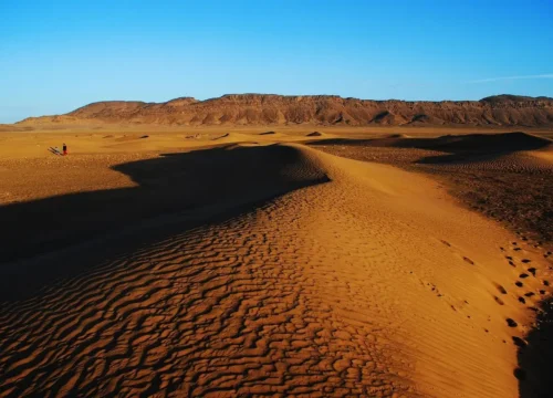 Zagora Desert: Your Ultimate Guide to Morocco’s Hidden Gem
