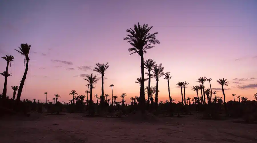 Desert Maroc