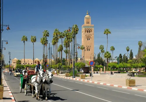 17 Day Morocco Trip