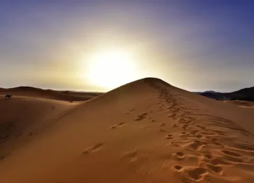 Découvrez la magie du désert Maroc : votre guide complet du Sahara marocain