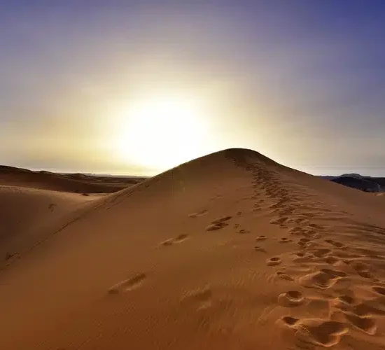 Découvrez la magie du désert Maroc : votre guide complet du Sahara marocain