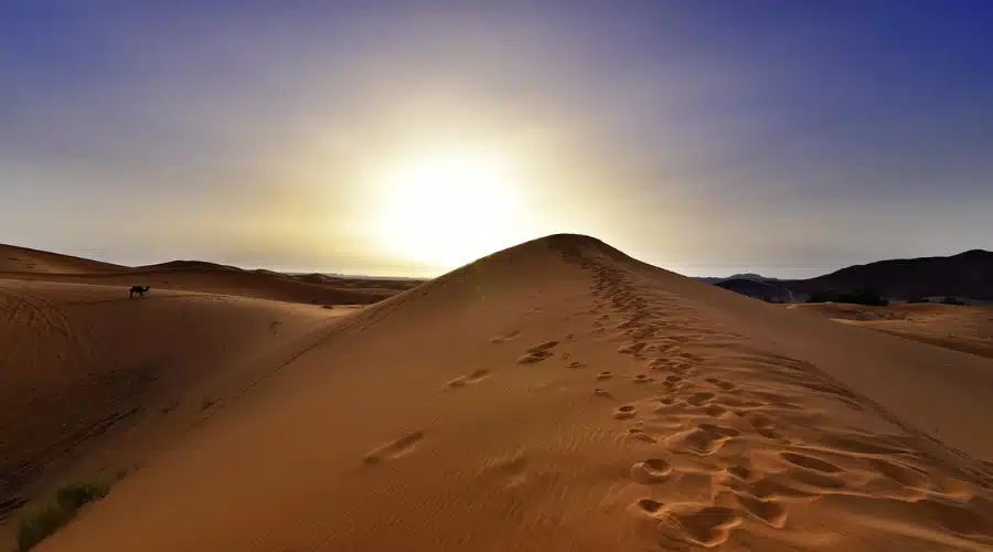 Découvrez la magie du désert Maroc : votre guide complet du Sahara marocain