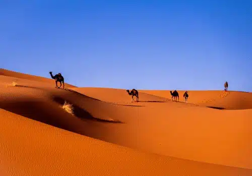 Morocco Golden Tours 1 4 2 1 1