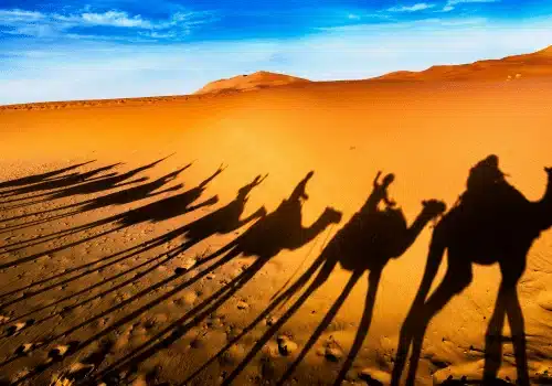 13 Day Morocco Tour