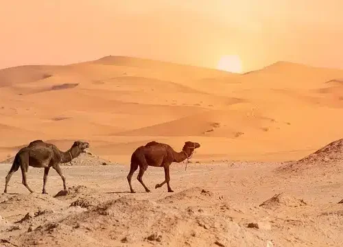 5 Days in Morocco