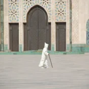 morocco traditional wear