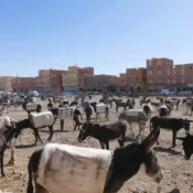 Rissani Morocco