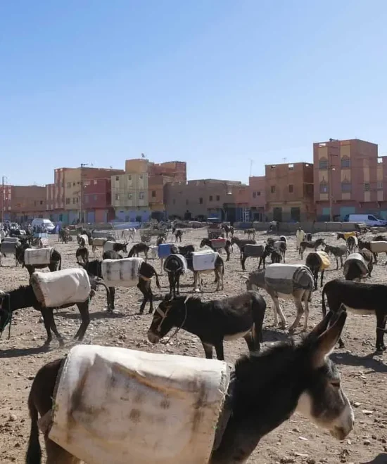 Discover the Magic of Rissani Morocco: A Place Full of History and Desert Adventures