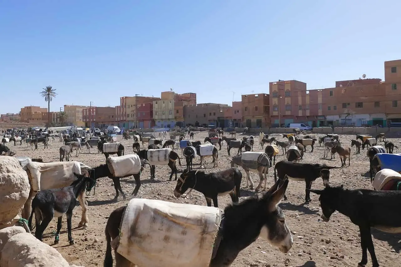 Rissani Morocco