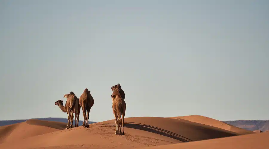 How Far Is the Sahara Desert from Morocco