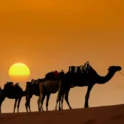 Erg Chebbi or Erg Chigaga