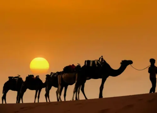 Erg Chebbi or Erg Chigaga: Which Sahara Desert Adventure Is Right for You?