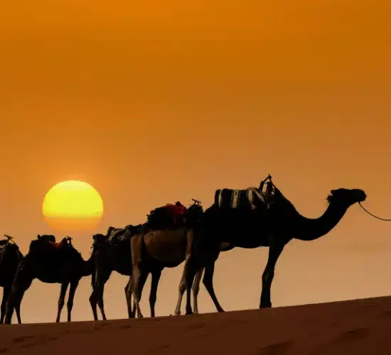 Erg Chebbi or Erg Chigaga: Which Sahara Desert Adventure Is Right for You?