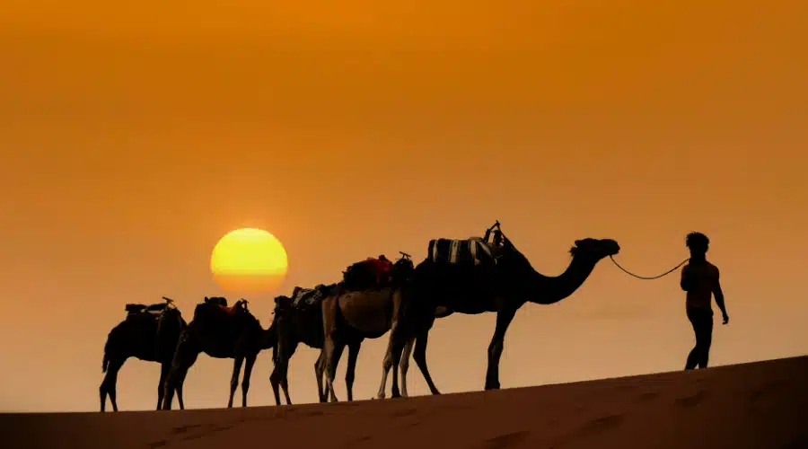 Erg Chebbi or Erg Chigaga
