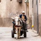 moroccan people