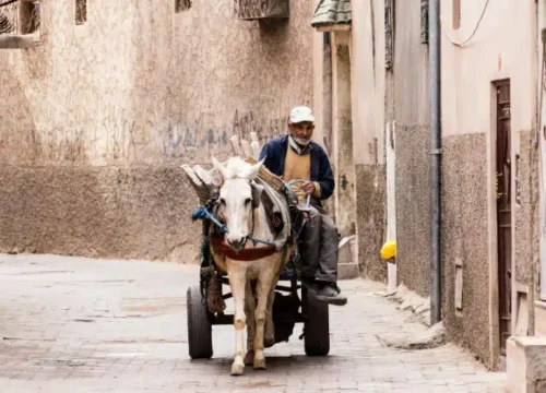 The Heart of Morocco: Understanding the Rich Heritage and Vibrant Culture of Moroccan People