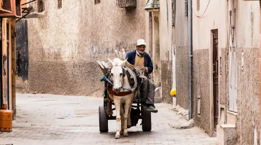 moroccan people