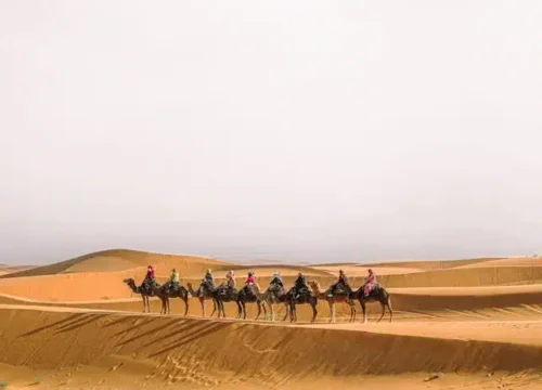 VIP Trips in Morocco